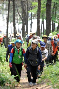People enjoying the forests of South Korea. Photo courtesy Dr. Shin